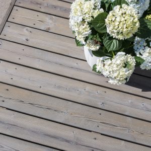 Alternative view of WOODEX AQUA WOOD OIL 2,7L HARMAA