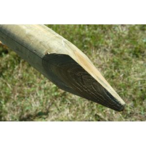 AITATOLPPA KESTOPUU 80X2100