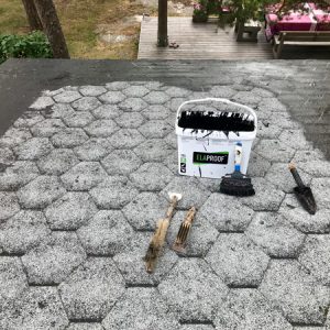 Alternative view of PINNOITE ELAPROOF 1L