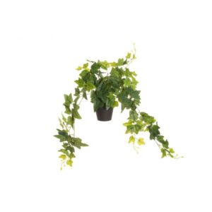 MURATTI ISOLEHTINEN RUUKUSSA 80CM