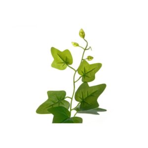 Alternative view of MURATTI ISOLEHTINEN RUUKUSSA 80CM