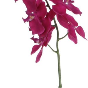 PERHOSKÄMMEKKÄ OKSA F.PUNAINEN 73CM