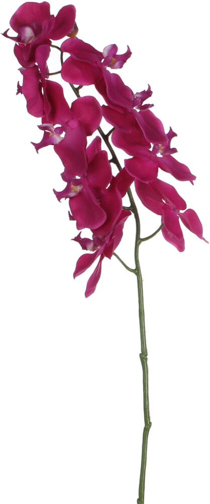 PERHOSKÄMMEKKÄ OKSA F.PUNAINEN 73CM