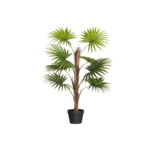 VIUHKAPALMU RUUKUSSA 90CM