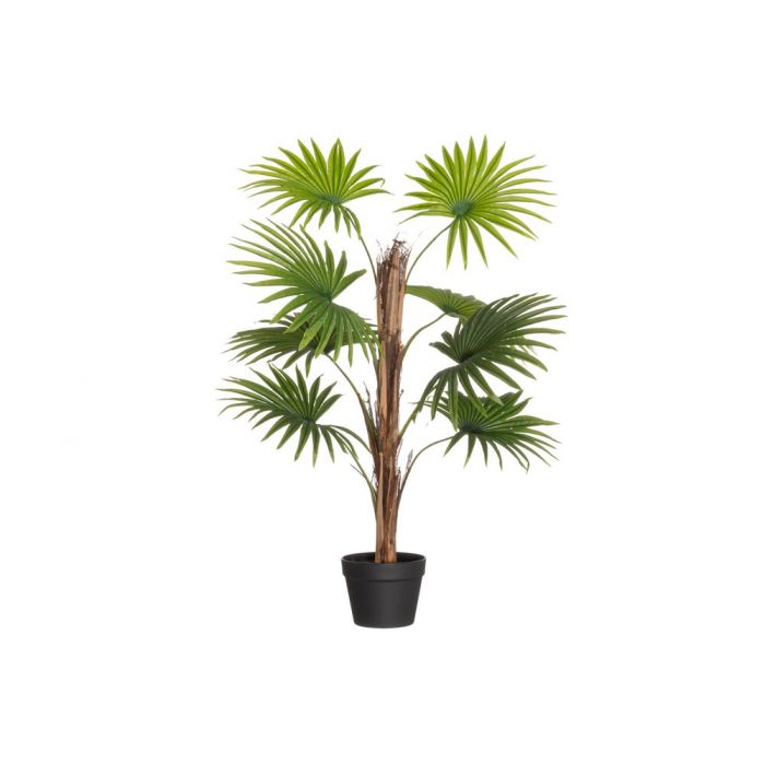VIUHKAPALMU RUUKUSSA 90CM