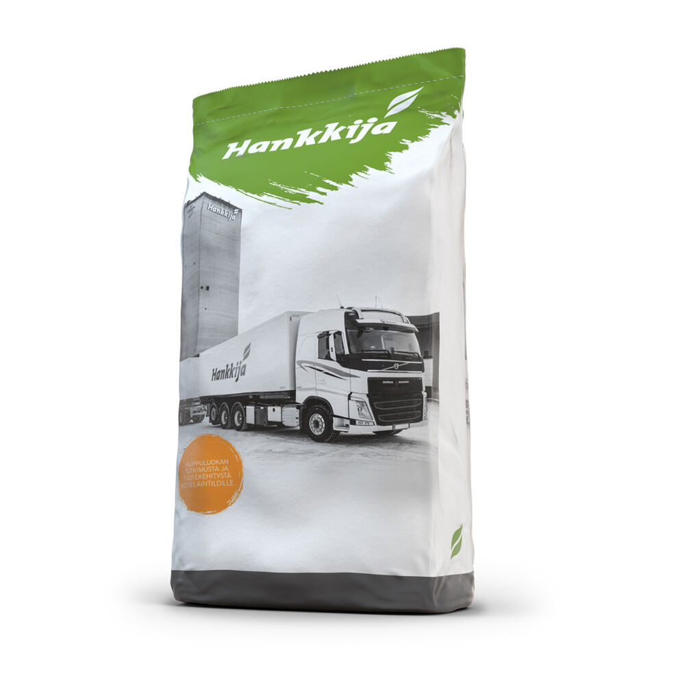 RAELEIKE SÄKKI 30KG