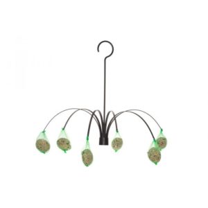 TINTTI TALIPALLOSYÖTIN PALMU