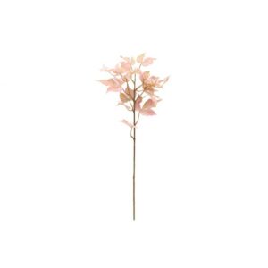 VAAHTERA OKSA 70CM