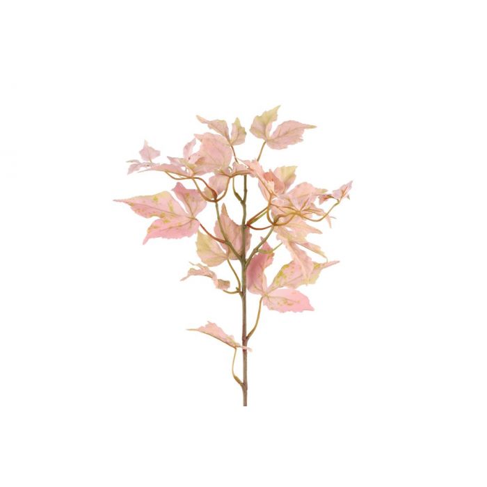 VAAHTERA OKSA 70CM - Image 2