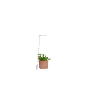 KASVIVALAISIN LED 4LIVING
