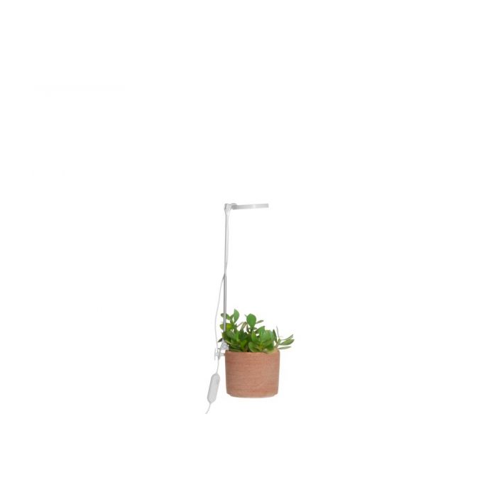 KASVIVALAISIN LED 4LIVING